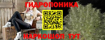 индика Малгобек