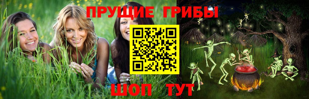 наркотики  Вход с VPN  Узловая  Псилоцибиновые грибы Psilocybe 